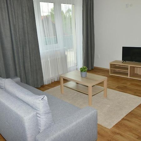 Apartmany U Peslu Železná Ruda Buitenkant foto